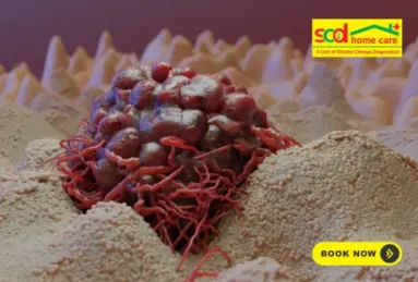 scd-homecare