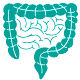 Intestines