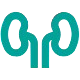 Kidney