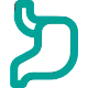 Stomach